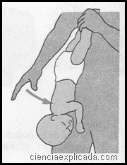 vias respiratorias bebes